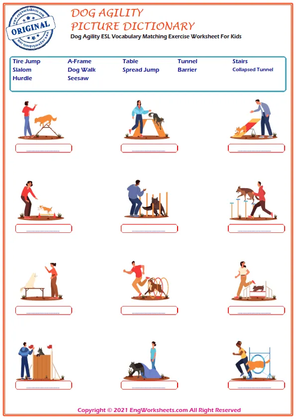 ESL Dog Agility Vocabulary Online Learn. Dog Agility Matching Exercise For Kids And Beginners