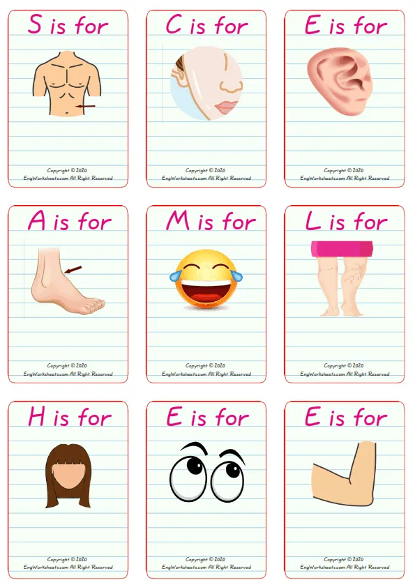 Wordless Body Parts vocabulary worksheet with nine images per page